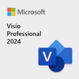 Microsoft Visio Professional 2024